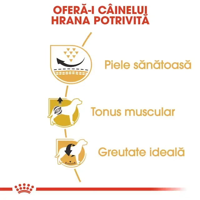 Royal Canin Pug 1.5 kg