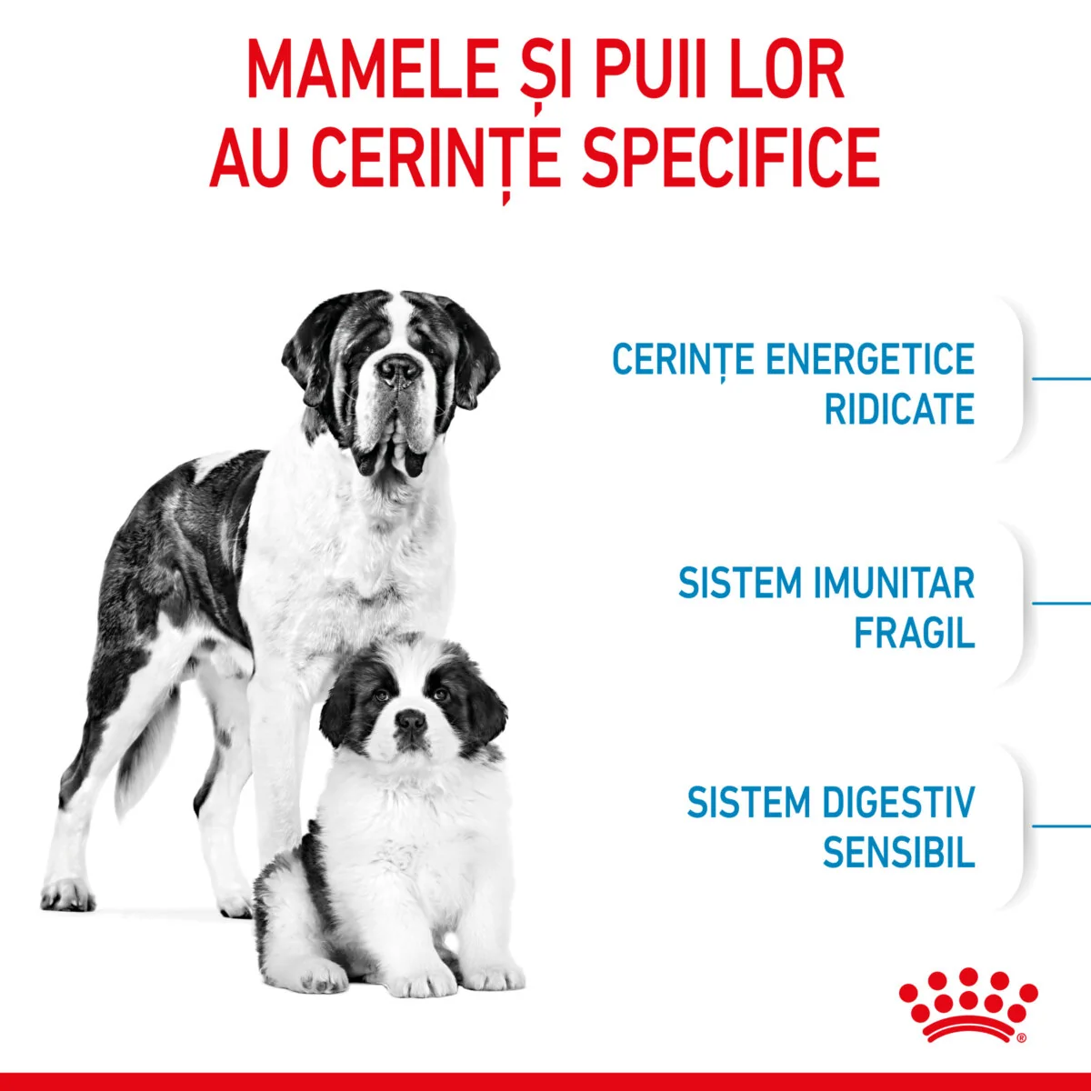 Royal Canin Giant Starter Mother & Babydog 15 kg