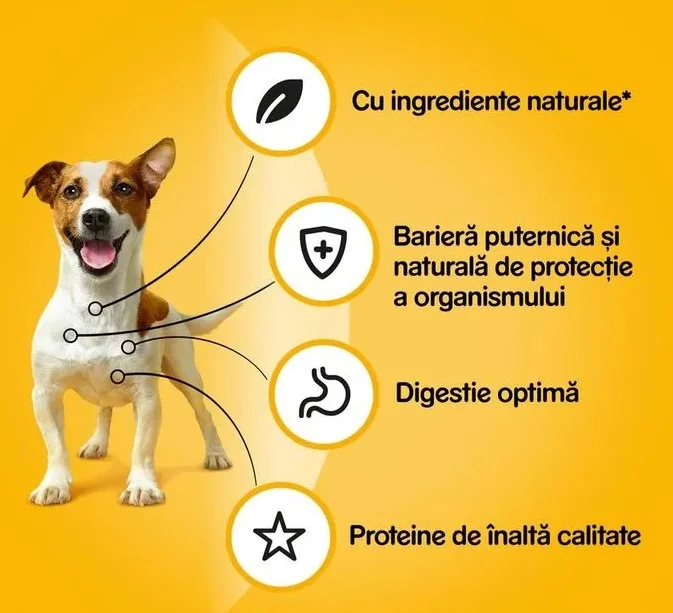 Pedigree Plic Adult Vita in Aspic 100 g