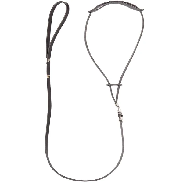 Dingo Lesa Prezentare 6 mm Negru