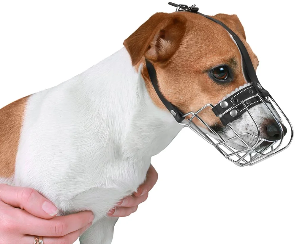 Dingo Botniță Metal Teckel Mic Nr 1