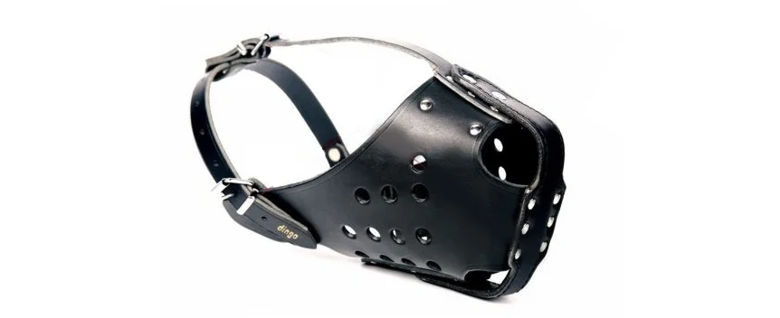 Dingo Botniță Piele Ciobănesc German 4061