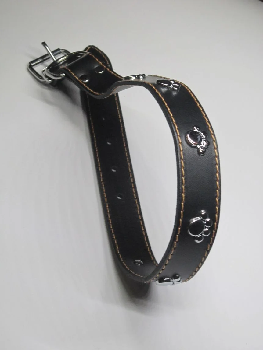 Streetside Zgarda Labute 1.6X40 cm Negru Nr 1