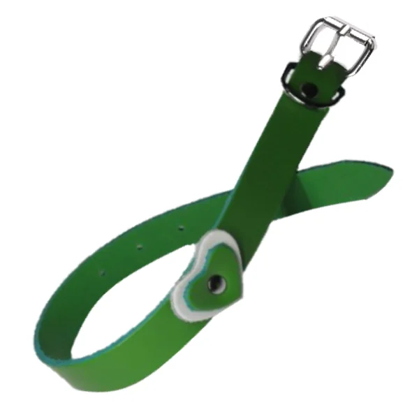 Zgarda Câine Streetside Inima 2.0/45 cm Verde Nr 2