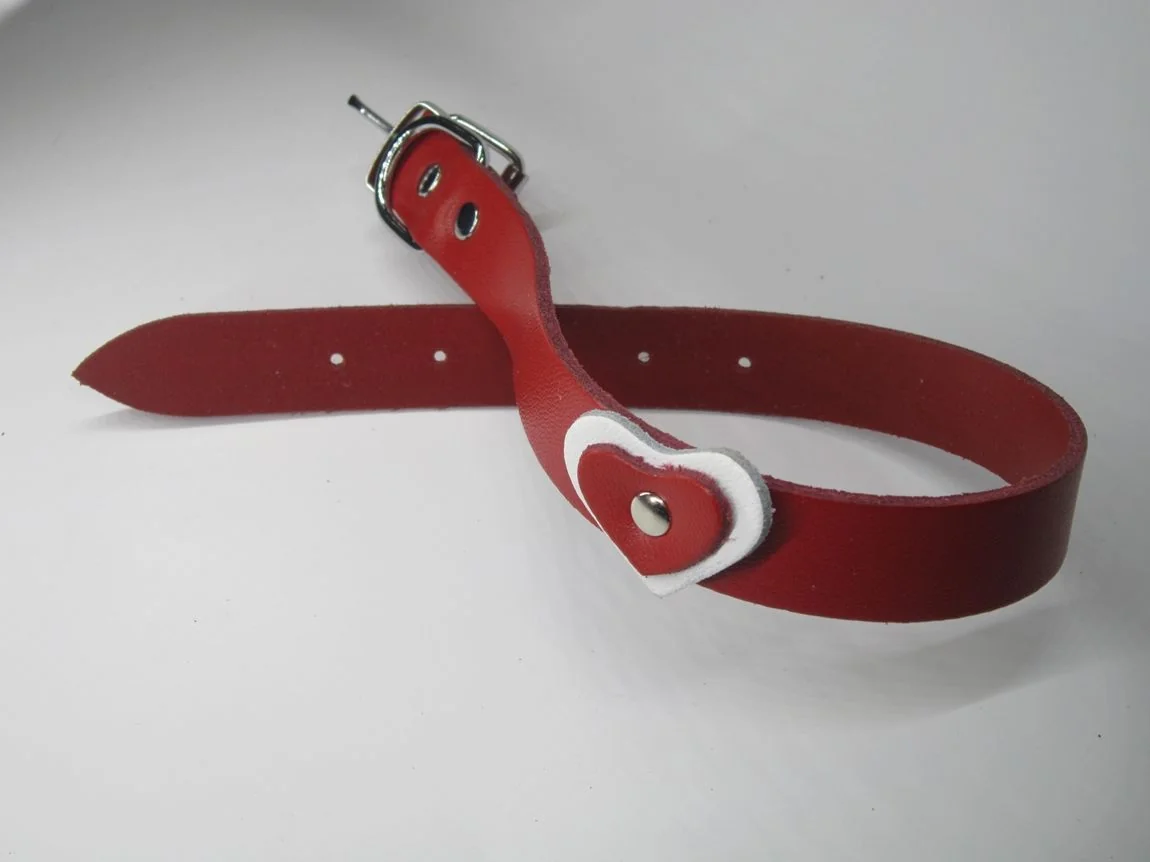 Zgarda Caine Streetside Inima 2.0/45 Cm Rosu Nr 2