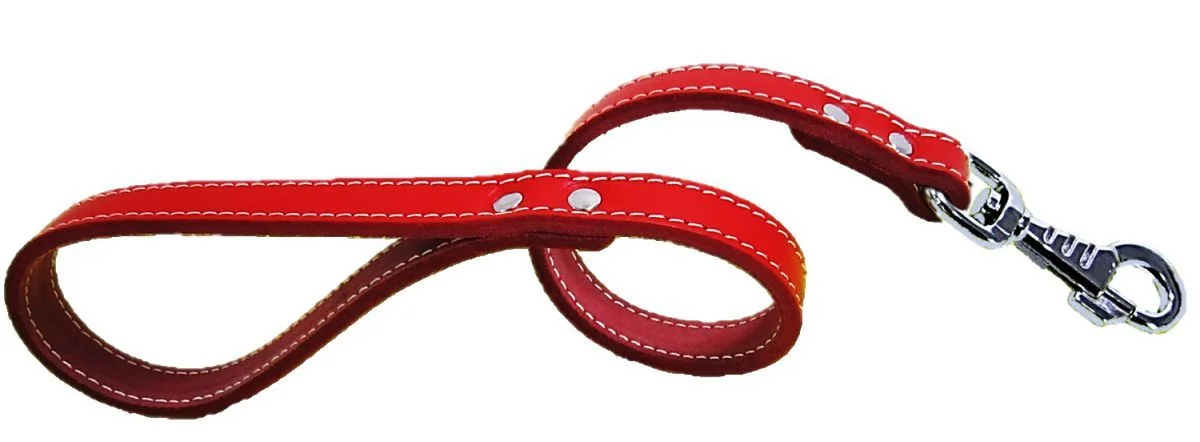 Lesa Pet Expert Clasic 1,8x60 cm Rosu Nr.5