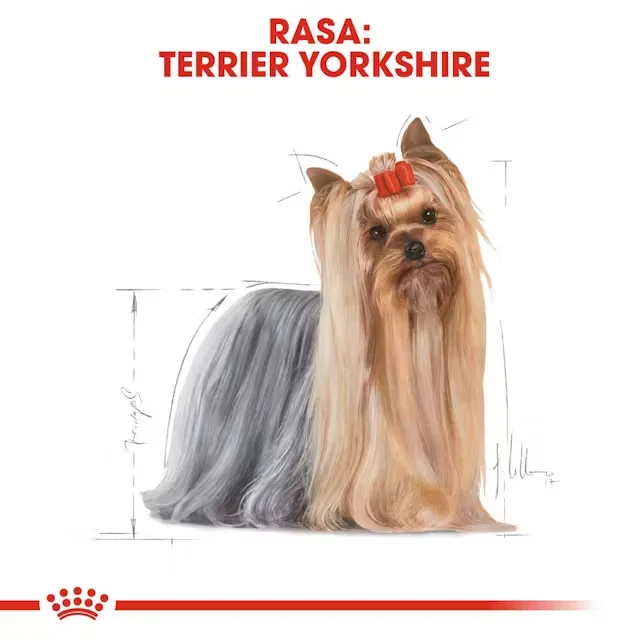 Royal Canin Plic Yorkshire 85 g