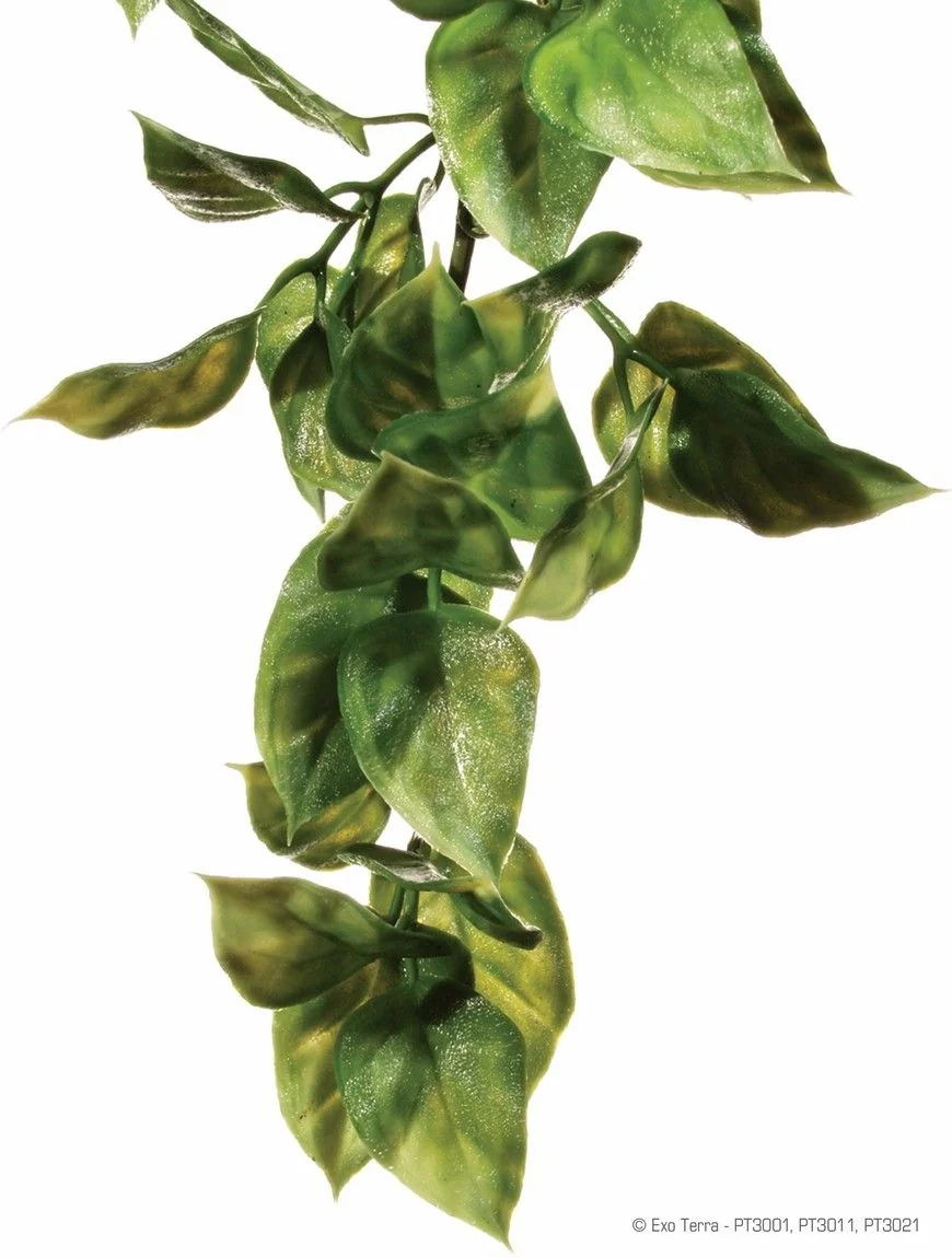 Exo Terra Planta Ampallo Small 32 CM PT3001