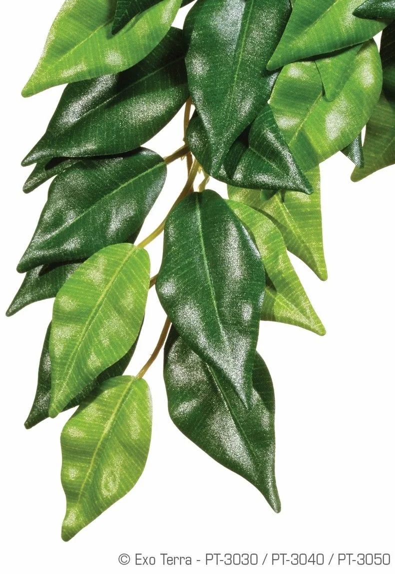 Exo Terra Planta Ficus Medium 55 CM PT3040
