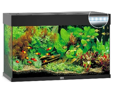 Juwel Acvariu Led Rio 180 Negru