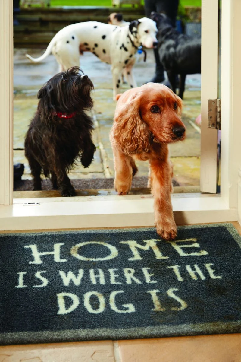 Hug&Rug Covoraș 50x75 Cm Home 2
