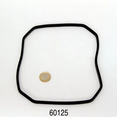 JBL Garnitura CP E1500 Pump Heard Rubber Gasket