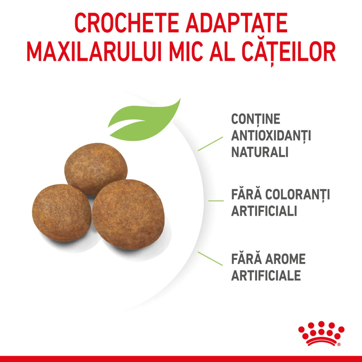 Royal Canin Maxi Puppy