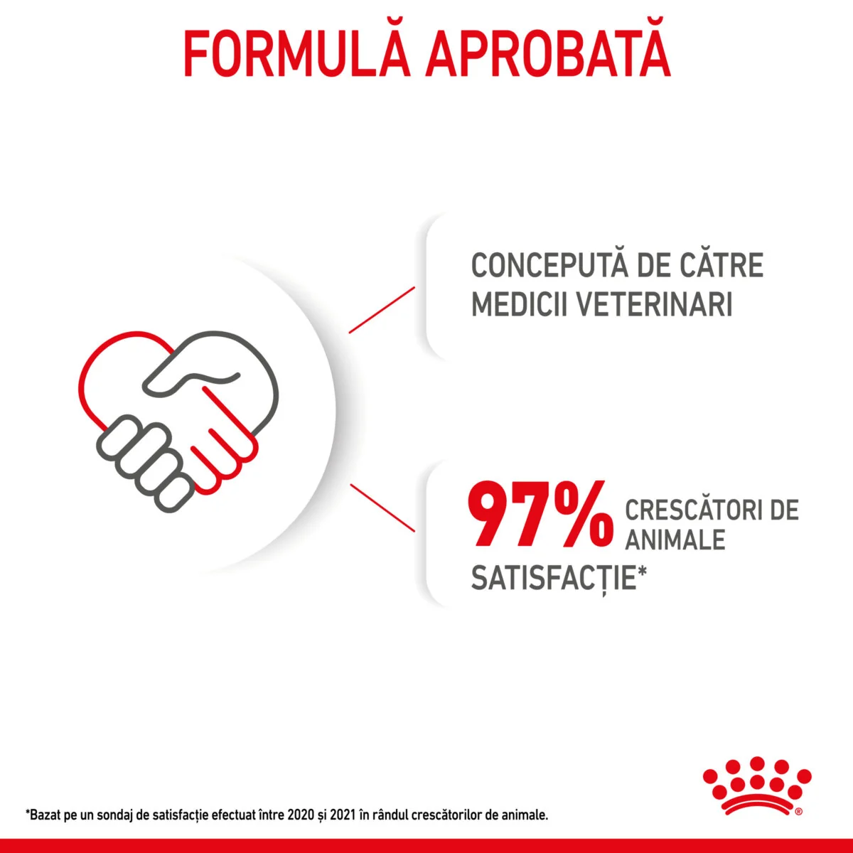 Royal Canin Maxi Puppy