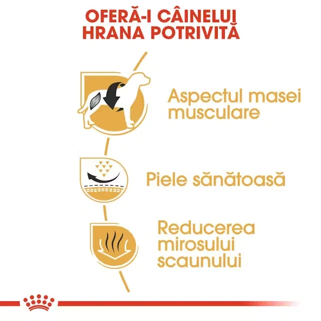 Royal Canin French Bulldog