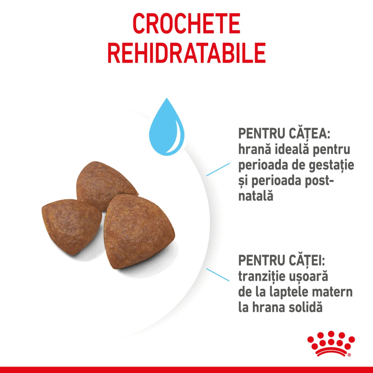 Royal Canin Medium Starter Mother & Babydog