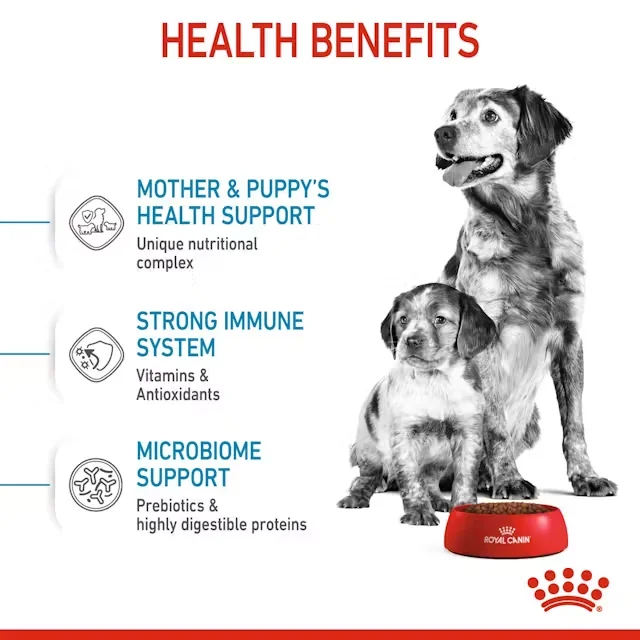 Royal Canin Medium Starter Mother & Babydog
