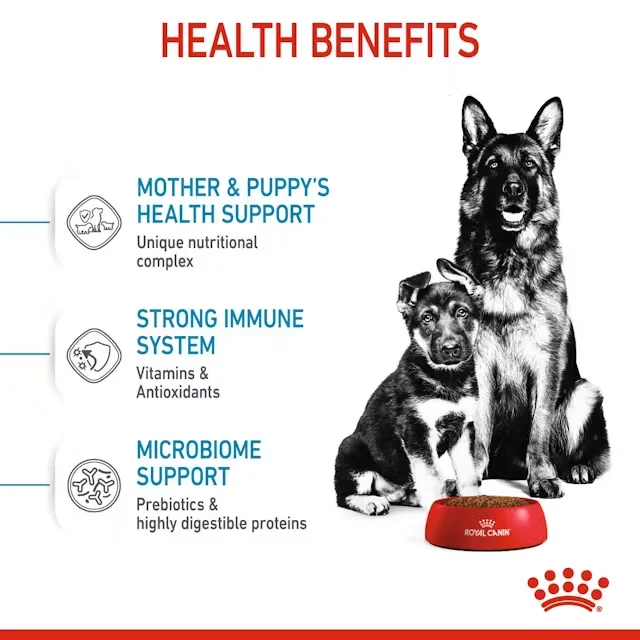 Royal Canin Maxi Starter Mother & Babydog