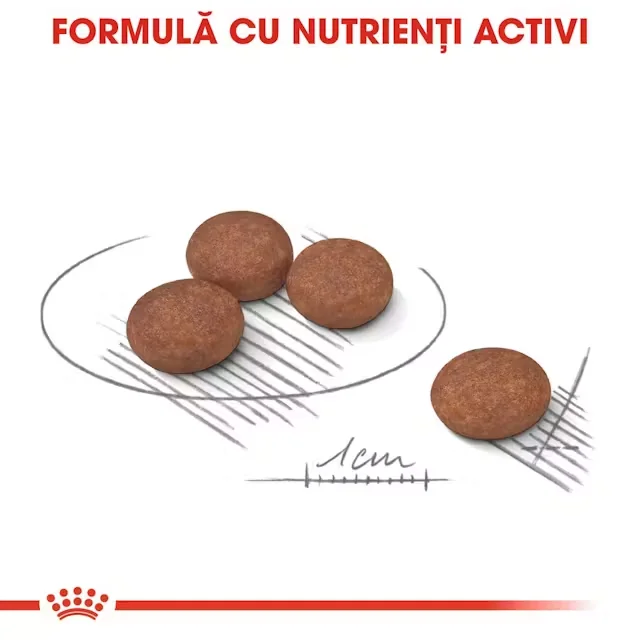 Royal Canin Mini Digestive Care