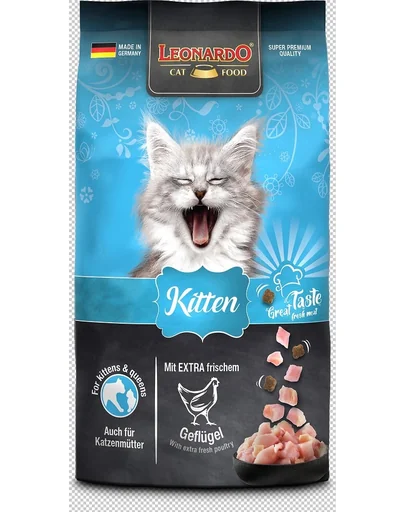 Leonardo Kitten Pui