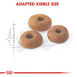 Royal Canin Felin Fit 32