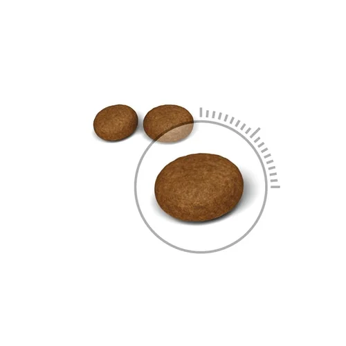 Royal Canin Felin Hair & Skin