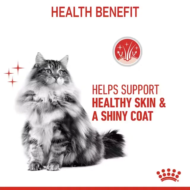 Royal Canin Felin Hair & Skin
