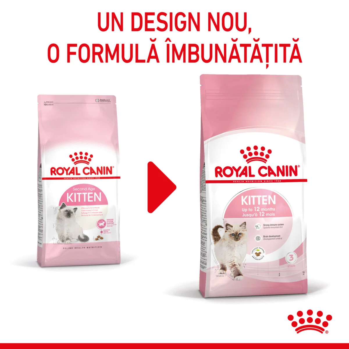 Royal Canin Felin Kitten