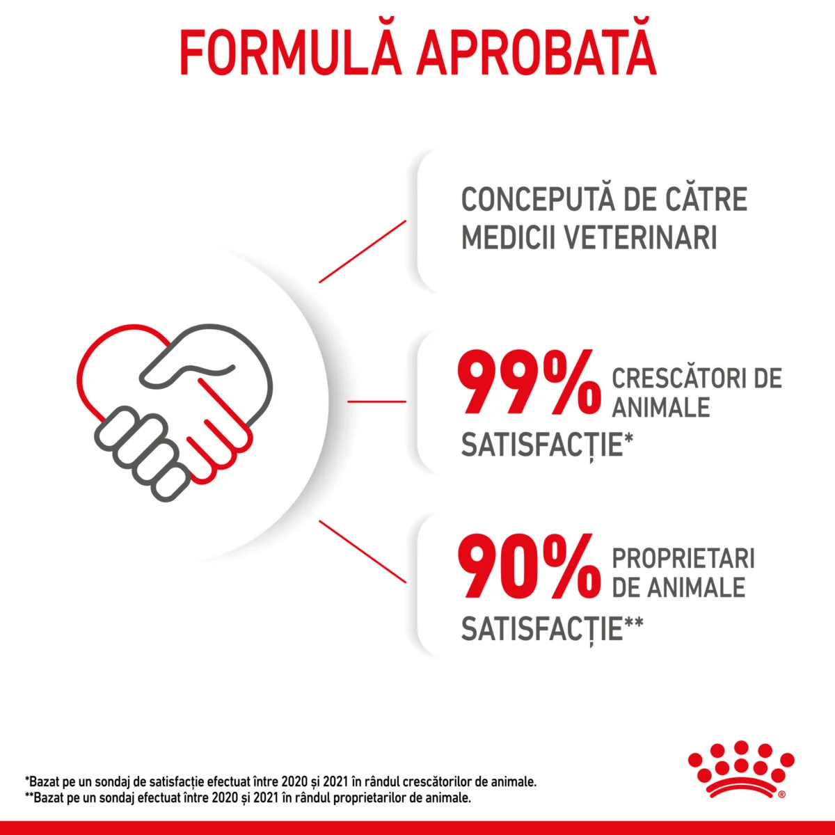 Royal Canin Felin Kitten