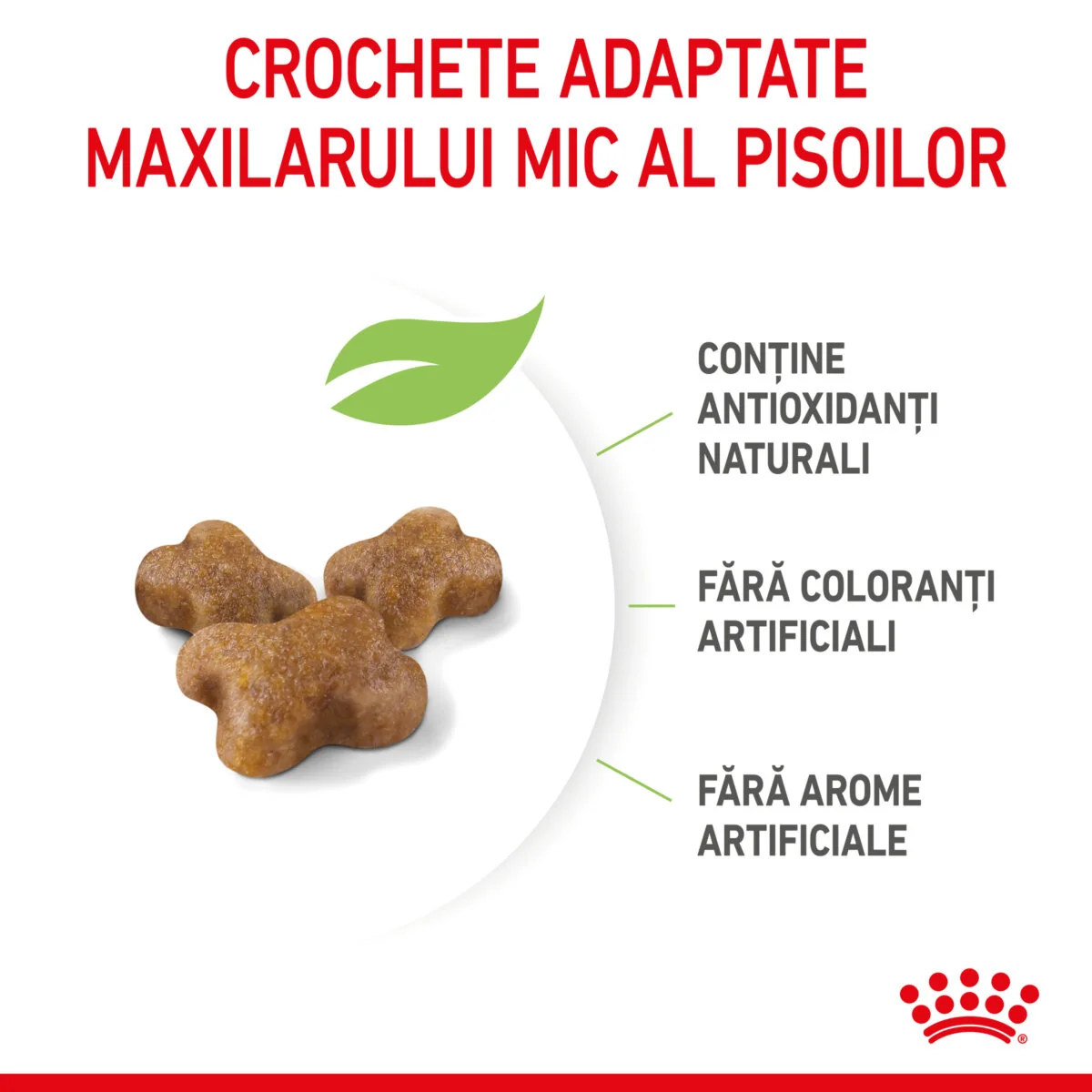 Royal Canin Felin Kitten