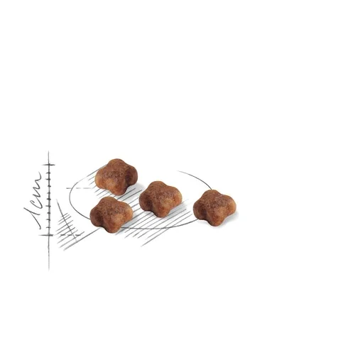 Royal Canin Felin Mother & Baby Cat