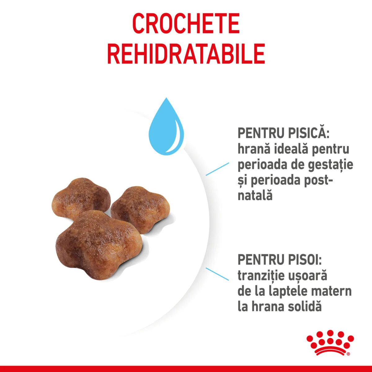 Royal Canin Felin Mother & Baby Cat