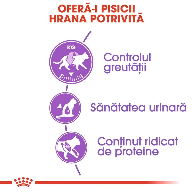 Royal Canin Felin Sterilised Regular 37