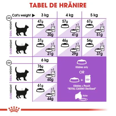 Royal Canin Felin Sterilised Regular 37
