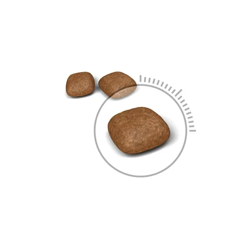 Royal Canin Felin Urinary Care