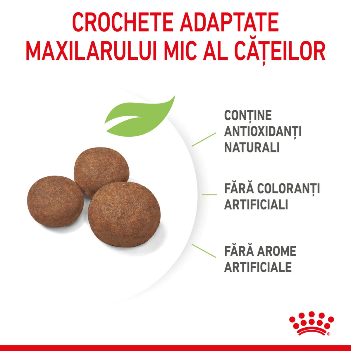 Royal Canin Medium Puppy