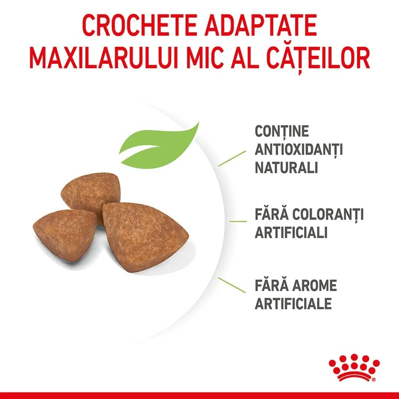 Royal Canin X-Small Puppy