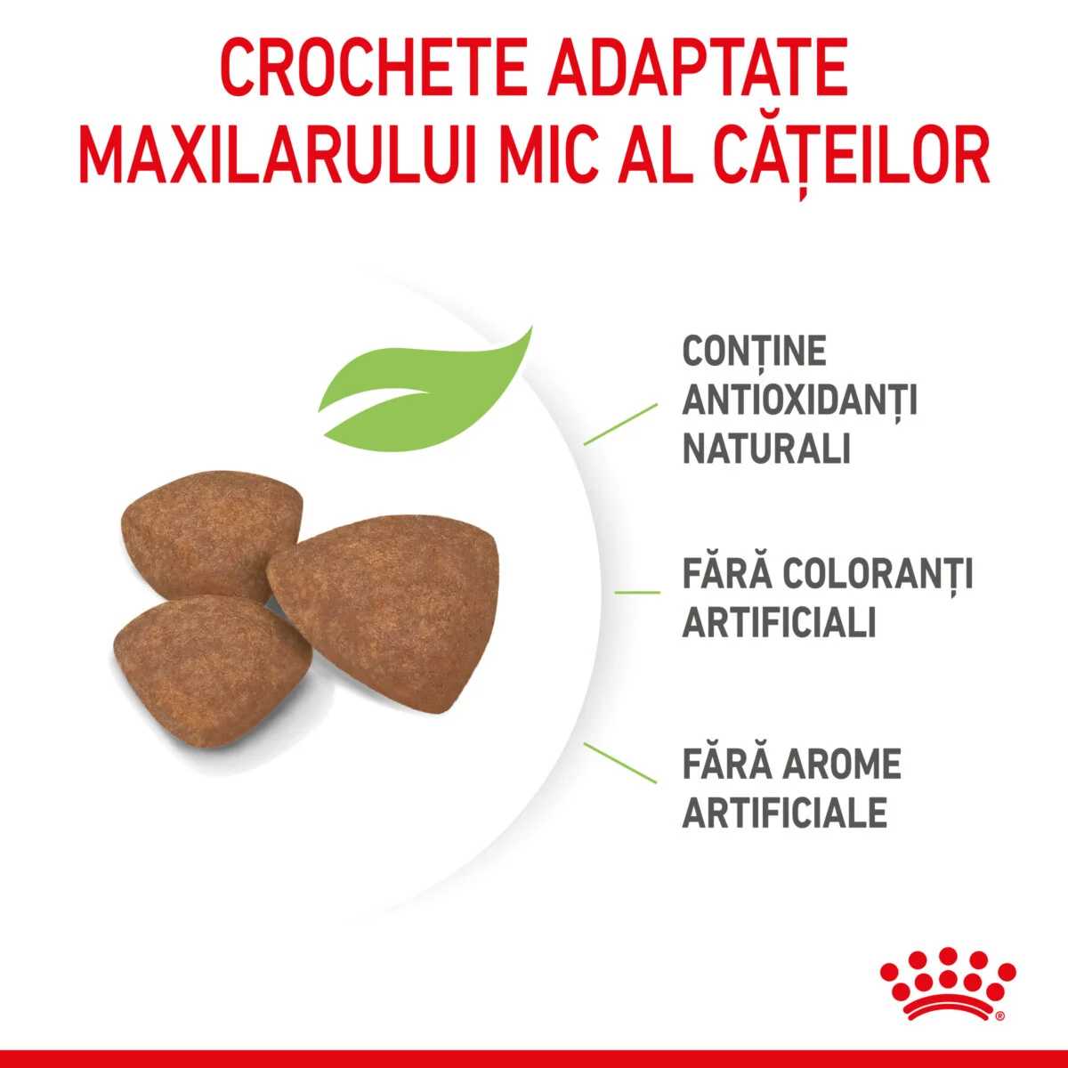 Royal Canin Mini Puppy