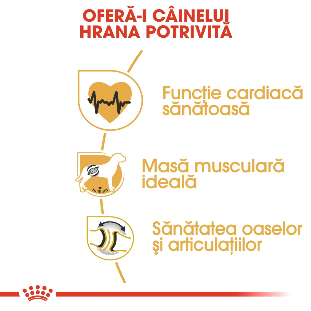 Royal Canin Rottweiler Adult