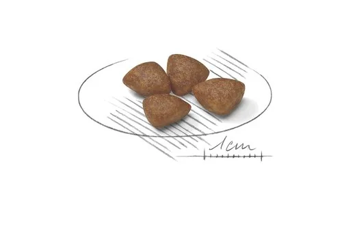 Royal Canin Mini Starter Mother & Babydog