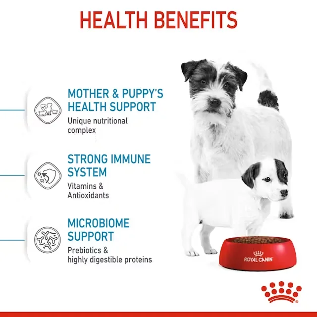 Royal Canin Mini Starter Mother & Babydog