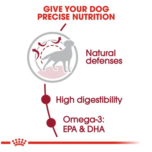 Royal Canin Medium Adult