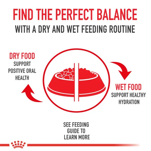 Royal Canin Medium Adult