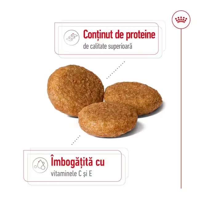 Royal Canin Medium Adult