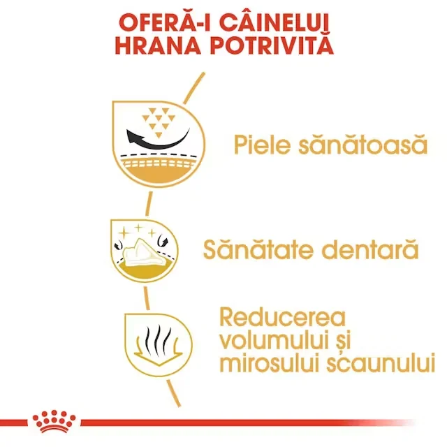 Royal Canin Shih Tzu Adult