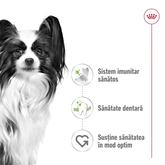 Royal Canin X-Small Adult