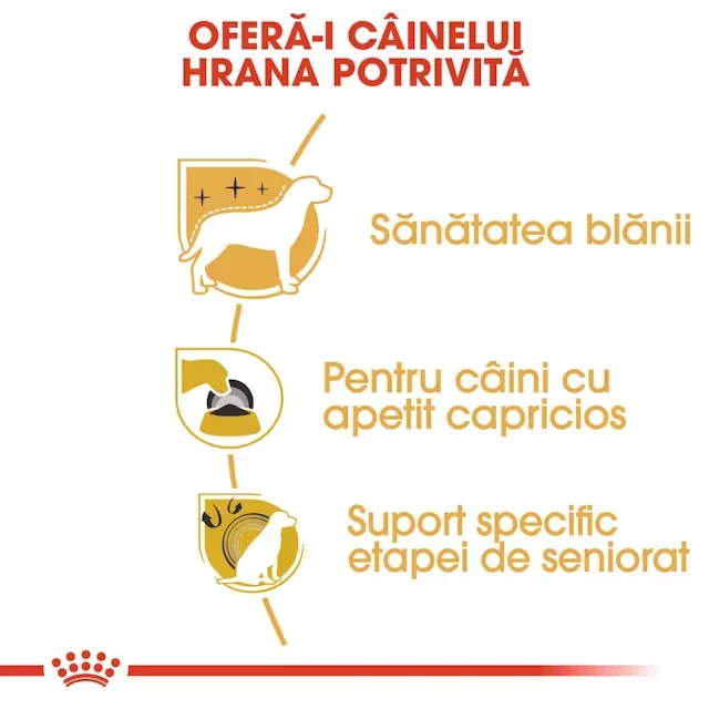 Royal Canin Yorkshire Adult