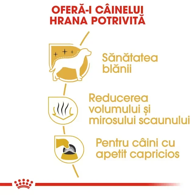 Royal Canin Maltese Adult