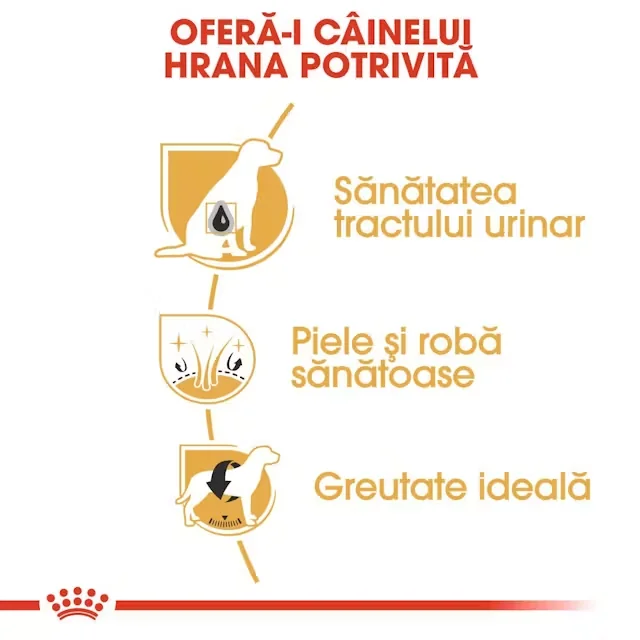 Royal Canin Bichon Frise Adult 1.5 kg