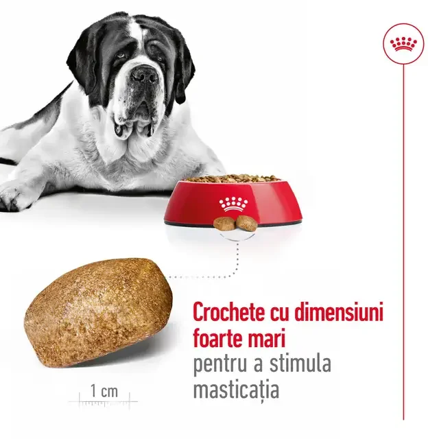 Royal Canin Giant Adult 15 kg